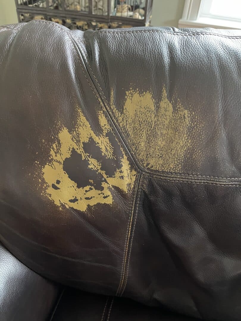 Black Leather Car Seat Paint & Vinyl Car Seat Dye Restore & Refinish