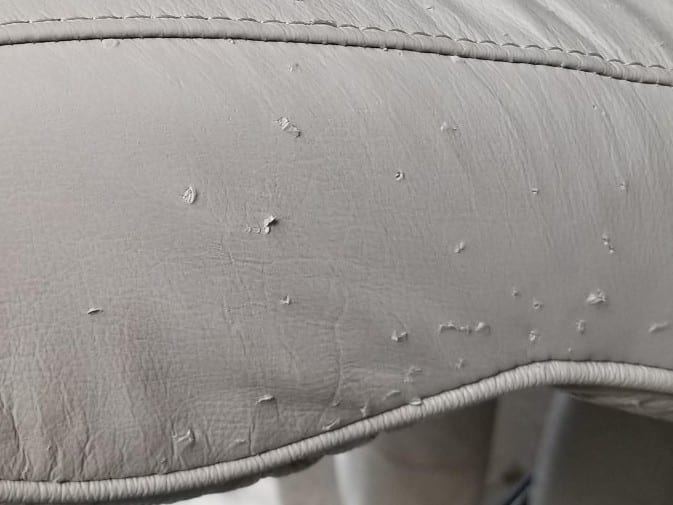 Repair Dog & Cat Scratches on Leather