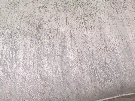 Picture of minor dog scratches on leather sofa cushion