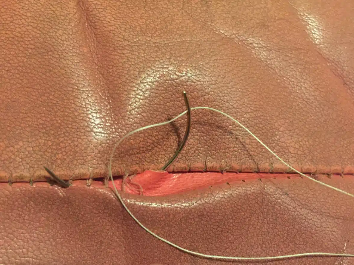 Picture of torn seam on leather with curved needle and thread showing how to sew and repair
