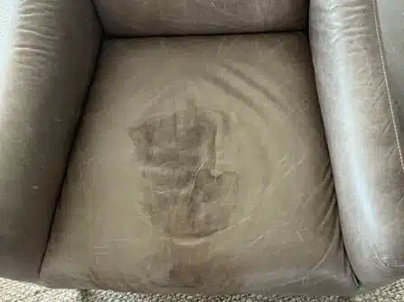 How to Get Urine Pet Stains Out of Leather Upholstery