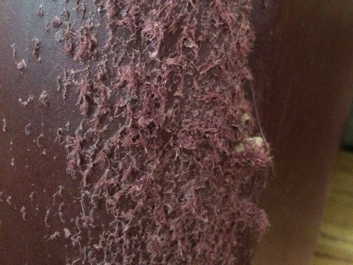 Leather Cat Scratch Repair Kit Leather Scratch Restorer