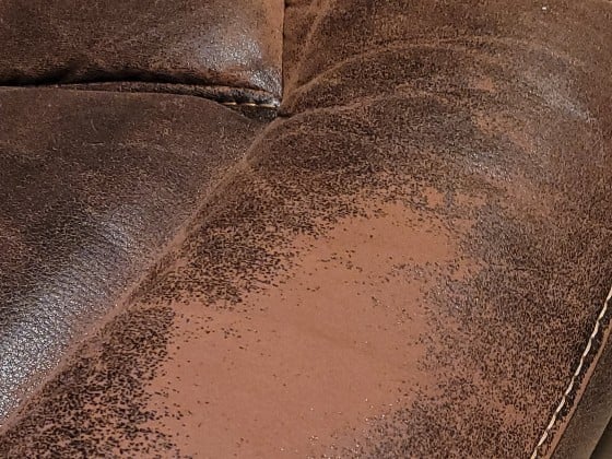 Leather Fabrics: qualities and advantages of stretch leather - Cimmino