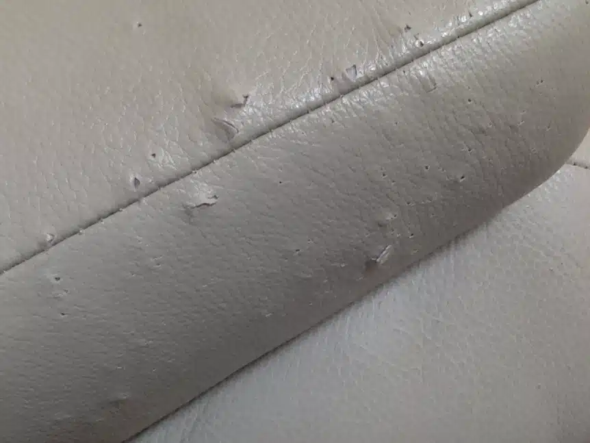 Fix cat claw marks leather couch best sale