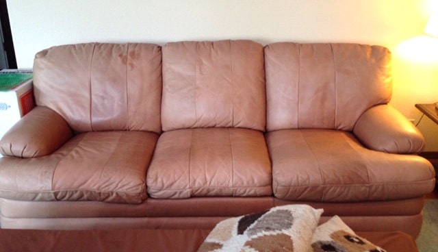 cognac-couch-sherri-before