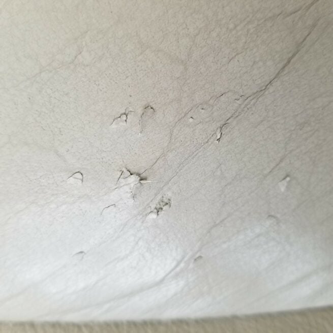 How to Repair Dog & Cat Scratches on Vinyl & Leather Furniture