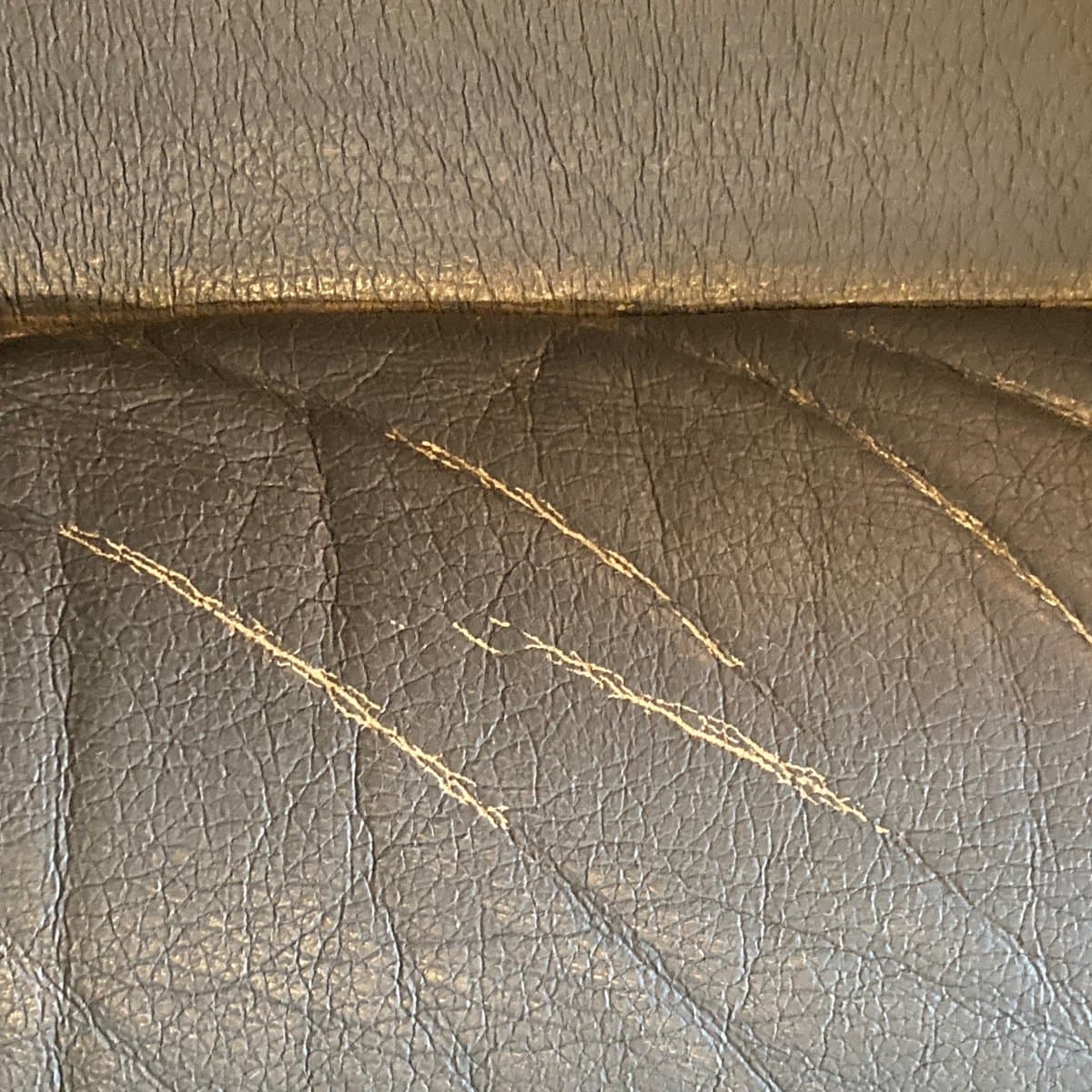 Easy Leather Paint Touch Up - How To Video Tutorial