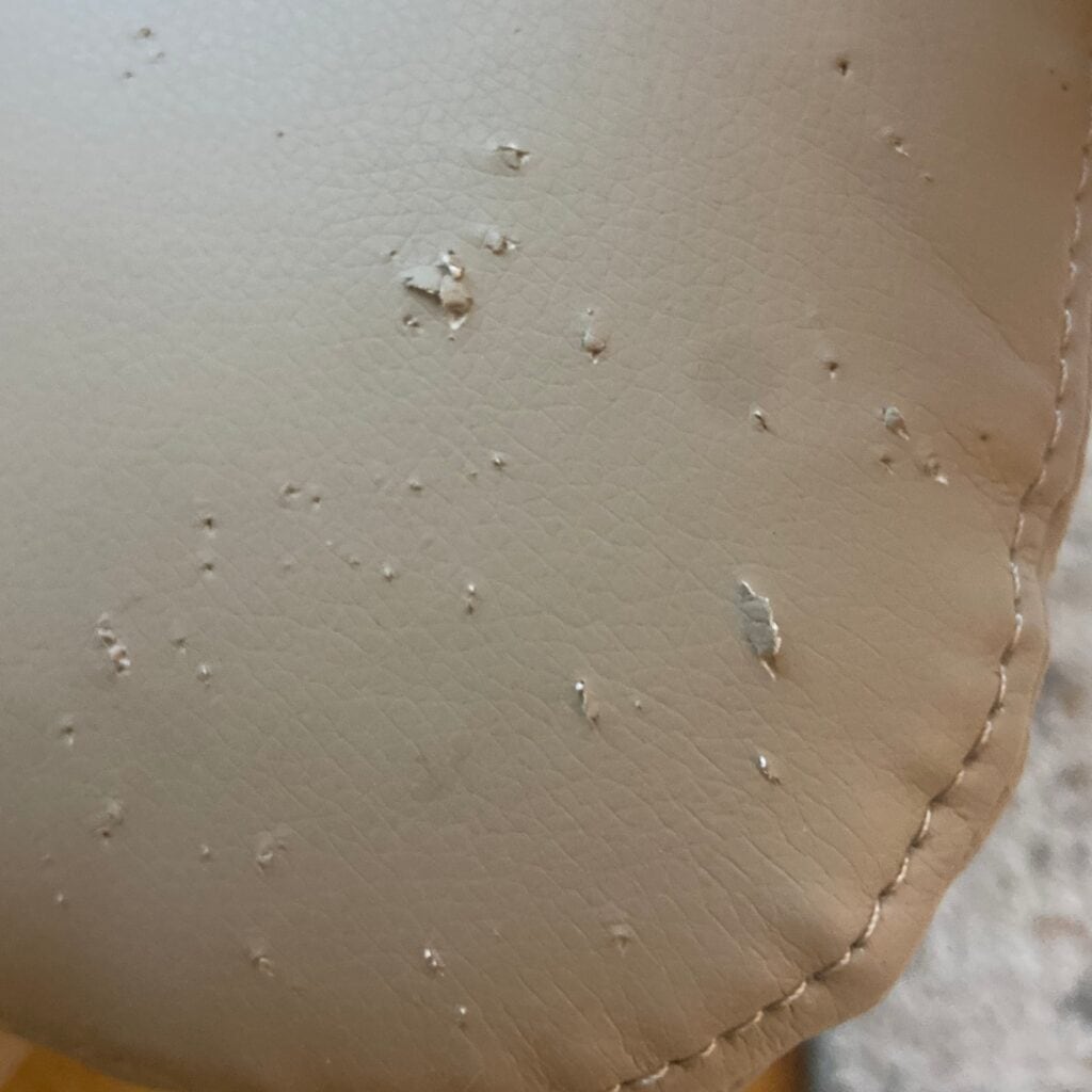 How to Repair Dog & Cat Scratches on Vinyl & Leather Furniture