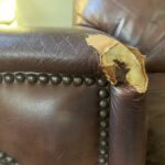 Dog chew armchair