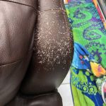 Picture of cat scratches on mahogany leather couch