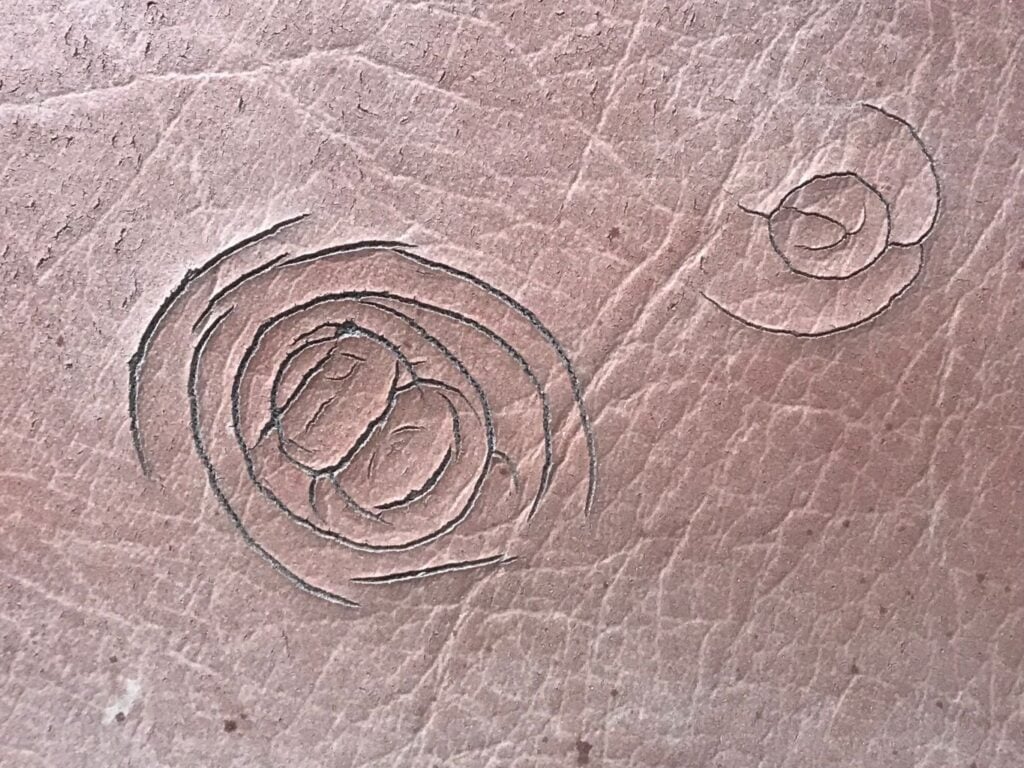 Image of circular cracks on marine vinyl hot tub cover