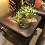 Photo of leather table after Rub n Restore