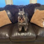 Mahogany Vinyl & Leather Finish photo review