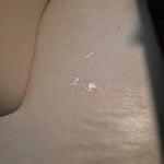 Marine White Leather & Vinyl Protectant photo review