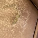 Picture of torn and worn leather on chair