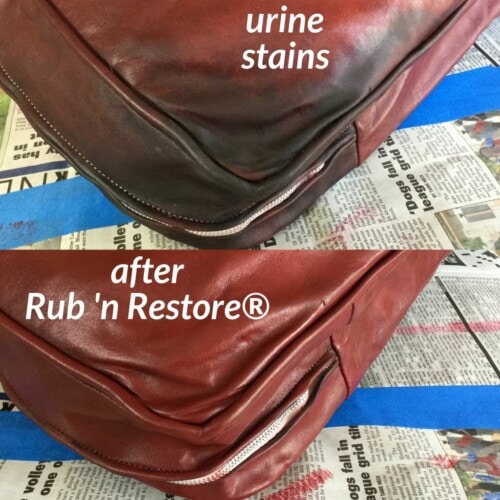 How to Get Urine & Pet Stains Out of Leather Upholstery