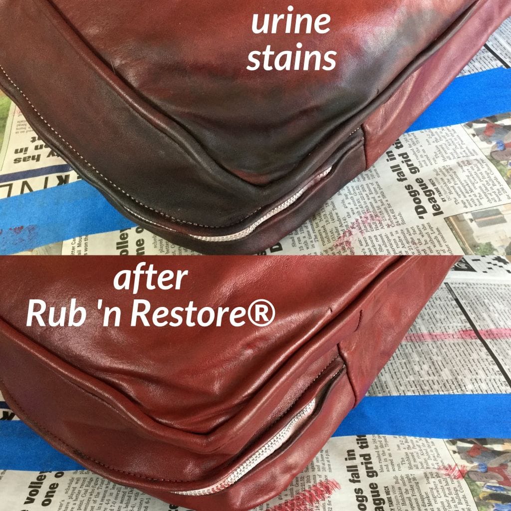 Clean Urine Pet Stains In Leather Restore The Rest